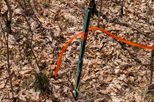 V/L Free Soil, Free Soil, MI 49411 - Photo 11