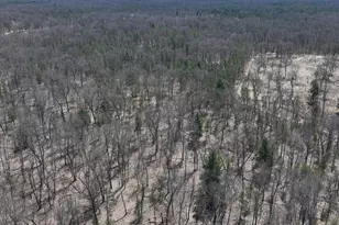 V/L Free Soil, Free Soil, MI 49411 - Photo 9