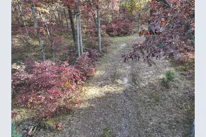 V/L Free Soil, Free Soil, MI 49411 - Photo 23