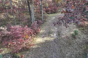 V/L Free Soil, Free Soil, MI 49411 - Photo 23