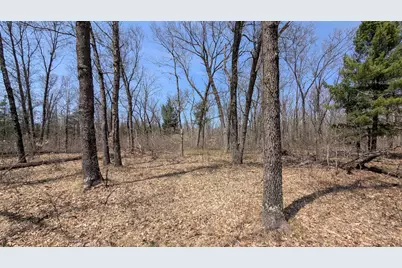 V/L Free Soil, Free Soil, MI 49411 - Photo 15