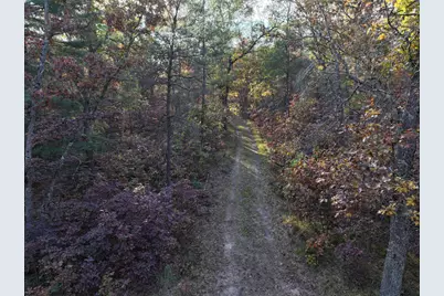 V/L Free Soil, Free Soil, MI 49411 - Photo 21