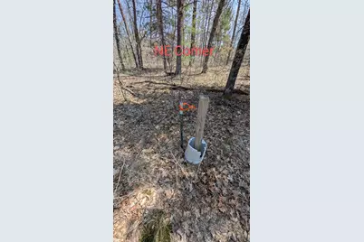 V/L Free Soil, Free Soil, MI 49411 - Photo 13