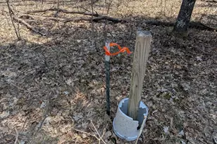 V/L Free Soil, Free Soil, MI 49411 - Photo 13