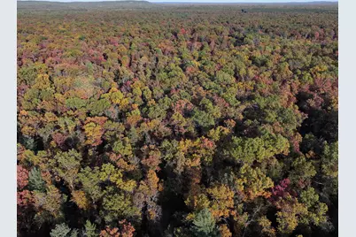 V/L Free Soil, Free Soil, MI 49411 - Photo 19