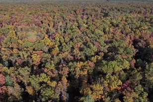 V/L Free Soil, Free Soil, MI 49411 - Photo 19