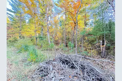 7.32Ac E 58th Street, Newaygo, MI 49337 - Photo 5