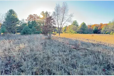 12.86Ac Barberry Avenue, Newaygo, MI 49337 - Photo 9