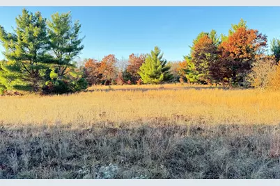 12.86Ac Barberry Avenue, Newaygo, MI 49337 - Photo 7