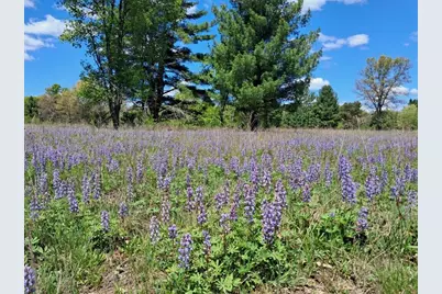 10.01Ac Barberry Avenue, Newaygo, MI 49337 - Photo 1