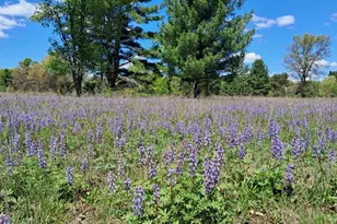 10 01Ac Barberry Ave, Newaygo, MI 49337 - Photo 1