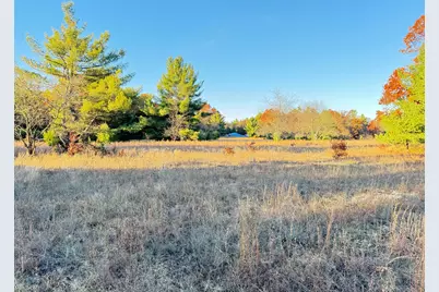 10.01Ac Barberry Avenue, Newaygo, MI 49337 - Photo 7