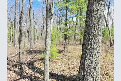 0 W Franklin Street, Bitely, MI 49309 - Photo 3