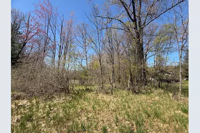 E Dennis Drive, Walkerville, MI 49459 - Photo 5