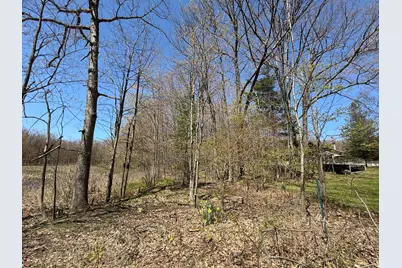 E Dennis Drive, Walkerville, MI 49459 - Photo 3