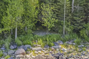 36335 E Makinen Rd, Drummond Island, MI 49726 - Photo 13