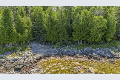 36335 E Makinen Road, Drummond Island, MI 49726 - Photo 9
