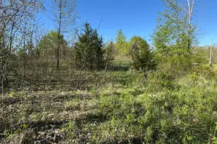 Lot C Stoney Ln, Eaton Rapids, MI 48827 - Photo 1