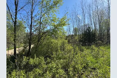 Lot C Stoney Lane, Eaton Rapids, MI 48827 - Photo 9