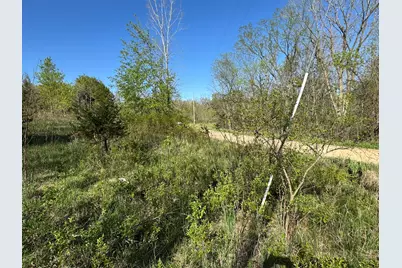 Lot C Stoney Lane, Eaton Rapids, MI 48827 - Photo 3