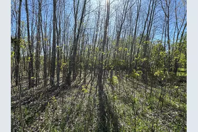 Lot C Stoney Lane, Eaton Rapids, MI 48827 - Photo 7