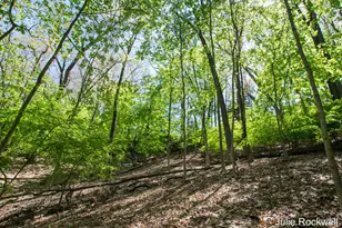 6050 Grand River Dr NE, Ada, MI 49301 - Photo 9