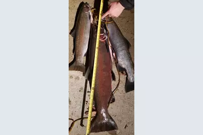 1977 E 40th Street, White Cloud, MI 49349 - Photo 47