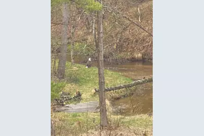 1977 E 40th Street, White Cloud, MI 49349 - Photo 3