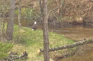 1977 E 40th St, White Cloud, MI 49349 - Photo 3