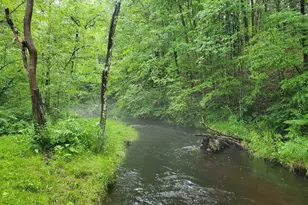 1977 E 40th St, White Cloud, MI 49349 - Photo 5