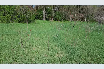 V/L Lot #'s 15 & 16 E Loop Road, Shelby, MI 49455 - Photo 3