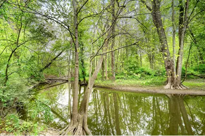 16431 Glassman Road, Union Pier, MI 49129 - Photo 29