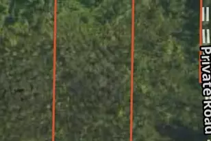 2451 US Hwy 10, Sears, MI 49679 - Photo 3