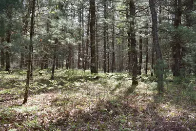 00 S Ever Blooming Drive, Baldwin, MI 49304 - Photo 17