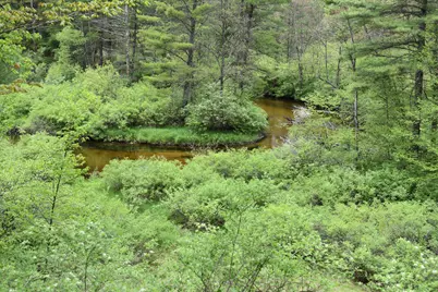 00 S Ever Blooming Drive, Baldwin, MI 49304 - Photo 3