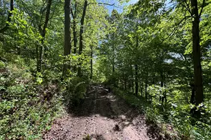 3396 Dagen Rd, Twin Lake, MI 49457 - Photo 39