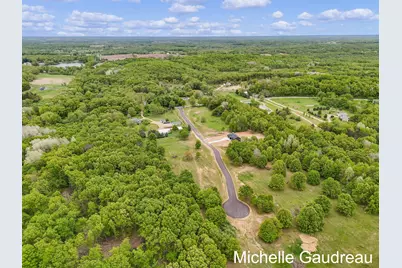 Parcel 10 Leaf Lane, Freeport, MI 49325 - Photo 7