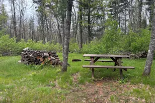 6986 W Baldwin Rd, Baldwin, MI 49304 - Photo 1