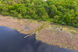 7989 Butler Rd, Nashville, MI 49073 - Photo 41