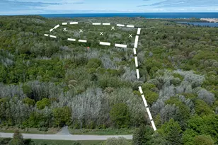 Parcel G-1 N 28th Ave, Mears, MI 49436 - Photo 1