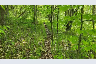 4160 E Winter Road, Walkerville, MI 49459 - Photo 15