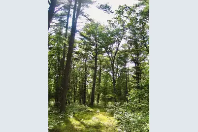 22903 Waterwheel Drive, Pierson, MI 49339 - Photo 9