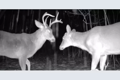 22903 Waterwheel Drive, Pierson, MI 49339 - Photo 1