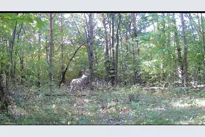 22903 Waterwheel Drive, Pierson, MI 49339 - Photo 5