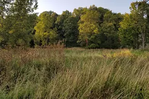 7000 Surrey Dr, Onsted, MI 49265 - Photo 1