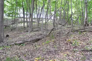 S Lakeshore Dr, Ludington, MI 49431 - Photo 5