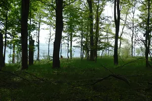 S Lakeshore Dr, Ludington, MI 49431 - Photo 9