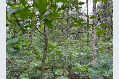 V/L W Lake Murray Street, Baldwin, MI 49304 - Photo 1