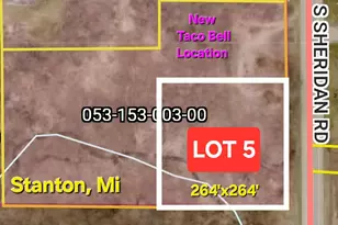 V/L Lot 5 S State St, Stanton, MI 48888 - Photo 1
