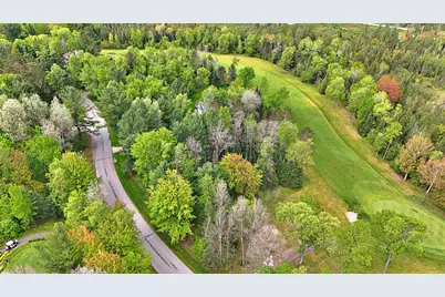 Lot 14 White Pine Drive, Cadillac, MI 49601 - Photo 21